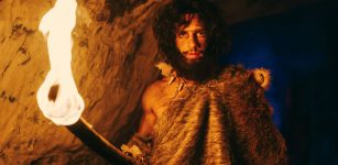 Neanderthals May Have Been Carnivores - New Study