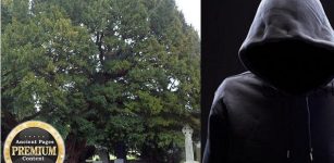 Llangernyw Yew: Chilling Prophecy Of The Oldest Tree In Wales