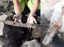 Unexpected Discovery Of Two Viking Swords In Upright Position In Sweden