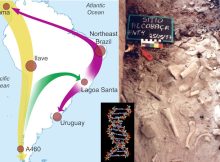 Unexpected And Surprising Results Of Ancient DNA Study - Who Were The First People In South America?