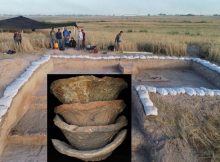 New Light On Foodways In The First Cities In Mesopotamia