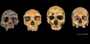 Mystery Of The Boxgrave Humans - Fossils In The UK Reveal How Ancient Europeans Were Connected