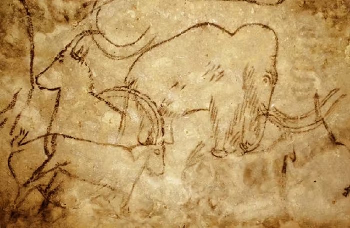 Depiction of a mammoth at Rouffignac Cave in France. Wikimedia Commons