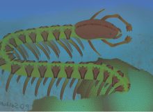 525-Million-Year-Old Fossil Defies Textbook Explanation For Brain Evolution