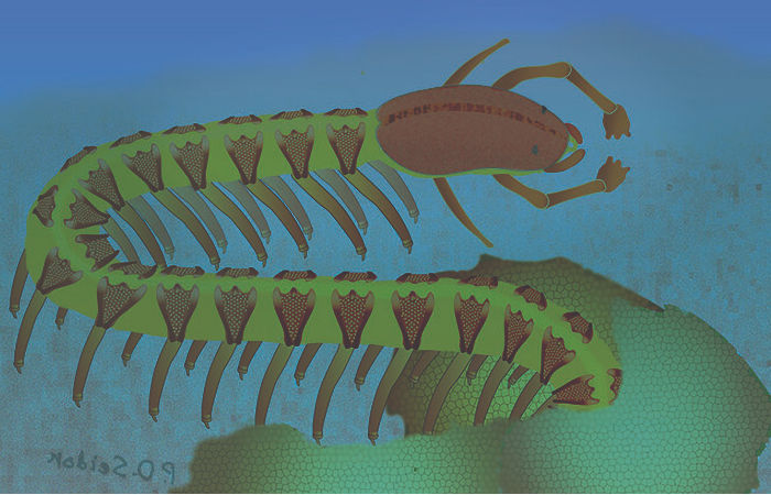 525-Million-Year-Old Fossil Defies Textbook Explanation For Brain Evolution