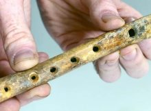 Rare, Well-Preserved Medieval Flute Bone Found In Kent
