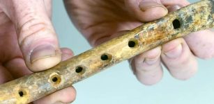 Rare, Well-Preserved Medieval Flute Bone Found In Kent