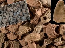 1,500-Year-Old Fingerprints Will Say Much About The Potters And The Communities That Lived In The Area