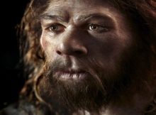 8 Billion People: How Different The World Would Look If Neanderthals Had Prevailed