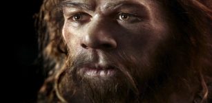 8 Billion People: How Different The World Would Look If Neanderthals Had Prevailed