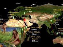 Prehistoric Humans Cooked 780,000 Years Ago - Oldest Evidence Of Controlled Fire Discovered