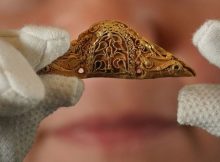 Exceptionally Rare 1,300-Year-Old Golden Pommel Found In Blairdrummond, Scotland