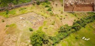 1,800-Year-Old Roman Winepress Found Near The Roman Fort At Gonio (Apsaros) Georgia