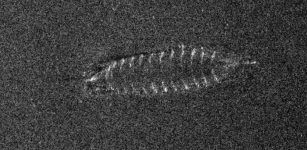 Sonar Images Reveal The Existence Of A 700-Year-Old Shipwreck At The Bottom Of Lake Mjøsa, Norway