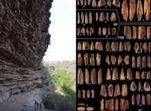 80000-Year-Old Bone Tools Discovered In South Africa Sheds New Light How Homo Sapiens Evolved