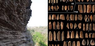 80000-Year-Old Bone Tools Discovered In South Africa Sheds New Light How Homo Sapiens Evolved