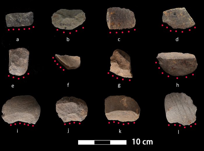 A selection of stone flake tools from the Shangshan ((a)-(h)) and Kuahuqiao ((i)–(l)) cultures. Red dots delineate working edge of tools. Credit: Jiajing Wang.