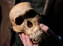 Surprising Evolution Discovery - Extinct Subterranean Human Species With Tiny Brains Used Fire