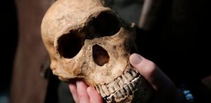 Surprising Evolution Discovery - Extinct Subterranean Human Species With Tiny Brains Used Fire