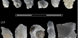 Scientists Unravel Why Humans Used Tiny Flakes 300,000 Years Ago