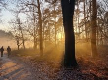 More Than 1,000 New Burial Mounds Discovered In The Netherlands