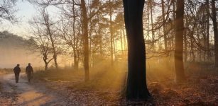 More Than 1,000 New Burial Mounds Discovered In The Netherlands