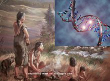 Ethical Ancient DNA Research Must Involve Descendant Communities - Researchers Say