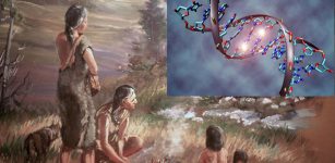 Ethical Ancient DNA Research Must Involve Descendant Communities - Researchers Say