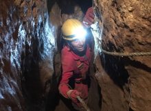 11,000-Year-Old Human Remains Found At Heaning Wood Bone Cave In Britain