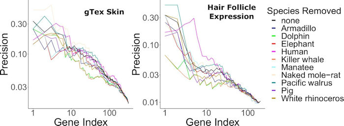 Mystery How Humans Lost Their Body Hair Solved By Scientists