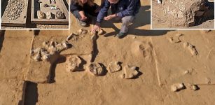 Ostrich Eggs Dated More Than 4,000 Years Discovered In Negev Desert Of Southern Israel