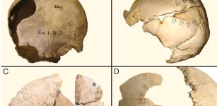 Violence Was Widespread In Early Farming Society - New Study