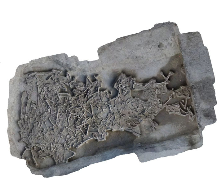 Unusual Find - Headless Skeletons Discovered In A 7000-Year-Old Mass Grave In Slovakia
