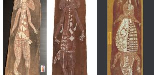 Solving The Bark Painting Mystery In Australia