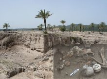 Evidence Of Brain Surgery Performed 3,000 Years Ago Discovered In Tel Megiddo, Israel