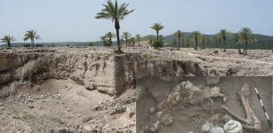 Evidence Of Brain Surgery Performed 3,000 Years Ago Discovered In Tel Megiddo, Israel