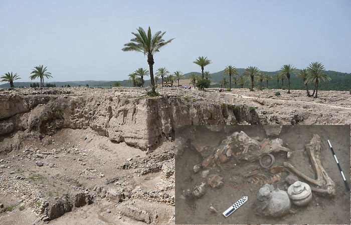 Evidence Of Brain Surgery Performed 3,000 Years Ago Discovered In Tel Megiddo, Israel