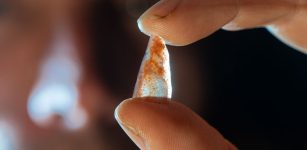 Tiny Points Made By Homo Sapiens 54,000 Years Ago Found In Mandrin Cave