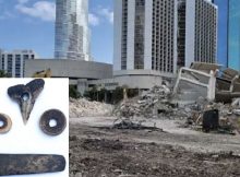 Major Archaeological Discovery Of A 7,000-Year-Old Settlement In Miami - But Its Future Is In Danger