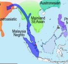 Prehistoric Human Migration In Southeast Asia Driven By Sea-Level Rise - Study Reveals