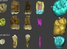 Evidence Neanderthals Lived Much Longer In Gipuzkoa Than Previously Thought