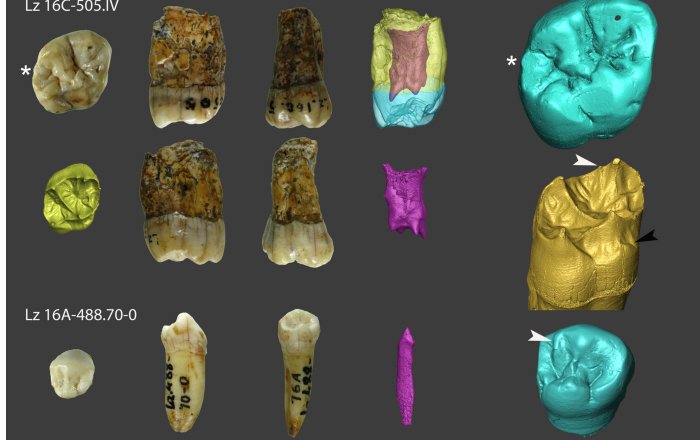 Evidence Neanderthals Lived Much Longer In Gipuzkoa Than Previously Thought