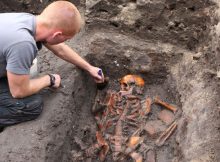 Evolution Of Plague Over Hundreds Of Years In Scandinavia Documented By Scientists