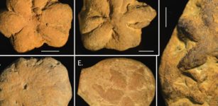 Mysterious Ancient Star-Shaped 'Fossil' Baffles Scientists - What Is It?