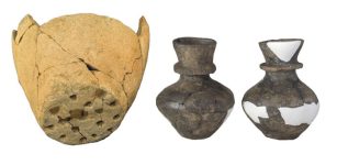 Neolithic Ceramics Reveal Dairy Processing From Milk Of Multiple Species