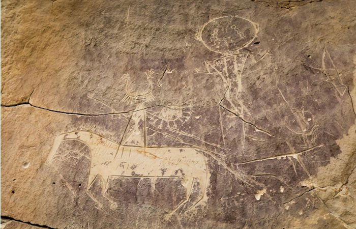 The Untold History Of The Horse In The American Plains Revealed