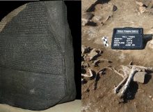 Archaeologists Dug For Evidence Of The Rosetta Stone's Ancient Egyptian Rebellion - Here's What They Found