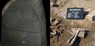 Archaeologists Dug For Evidence Of The Rosetta Stone's Ancient Egyptian Rebellion - Here's What They Found