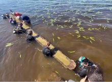 1,000-Year-Old Native American Canoe Recovered From A North Carolina Lake