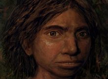 First Facial Reconstruction Reveals What Denisovans May Have Looked Like